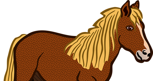 Disaster Preparedness for Horses
